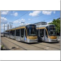 2017-08-06 97,94 Poelaert 3064,3019 02.jpg